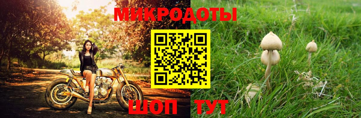 Дивногорск  Псилоцибиновые грибы мухоморы  Вход с VPN  Галлюциногенные грибы Magic Shrooms 